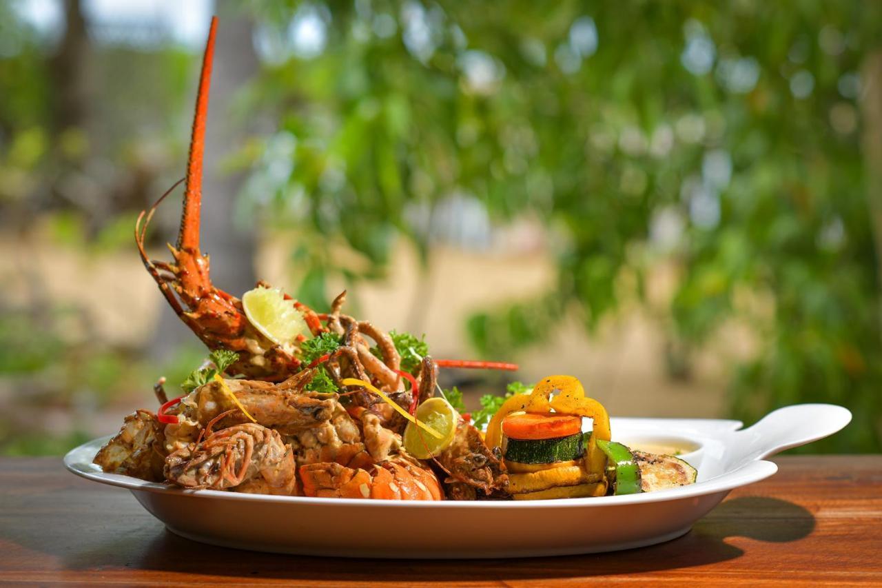 Kitesurfing Lanka Hotell Kalpitiya Eksteriør bilde