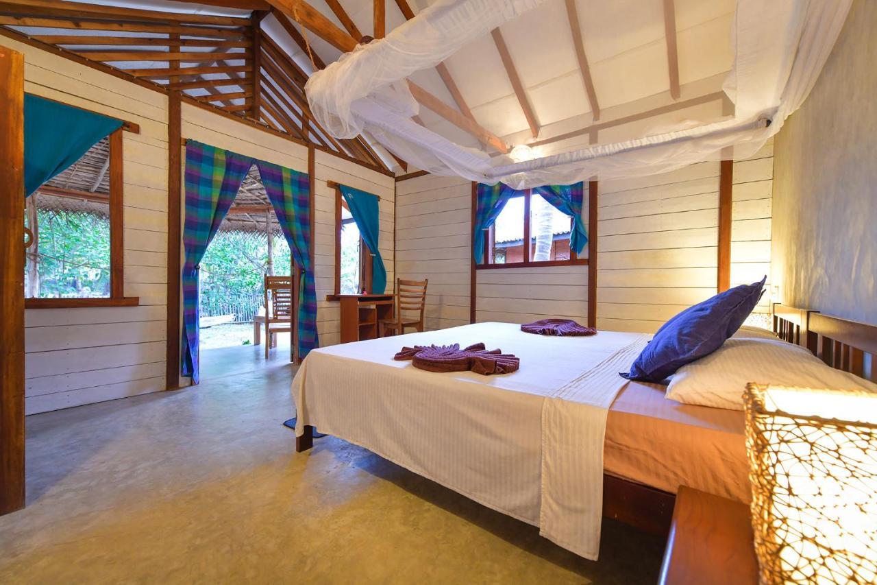 Kitesurfing Lanka Hotell Kalpitiya Rom bilde