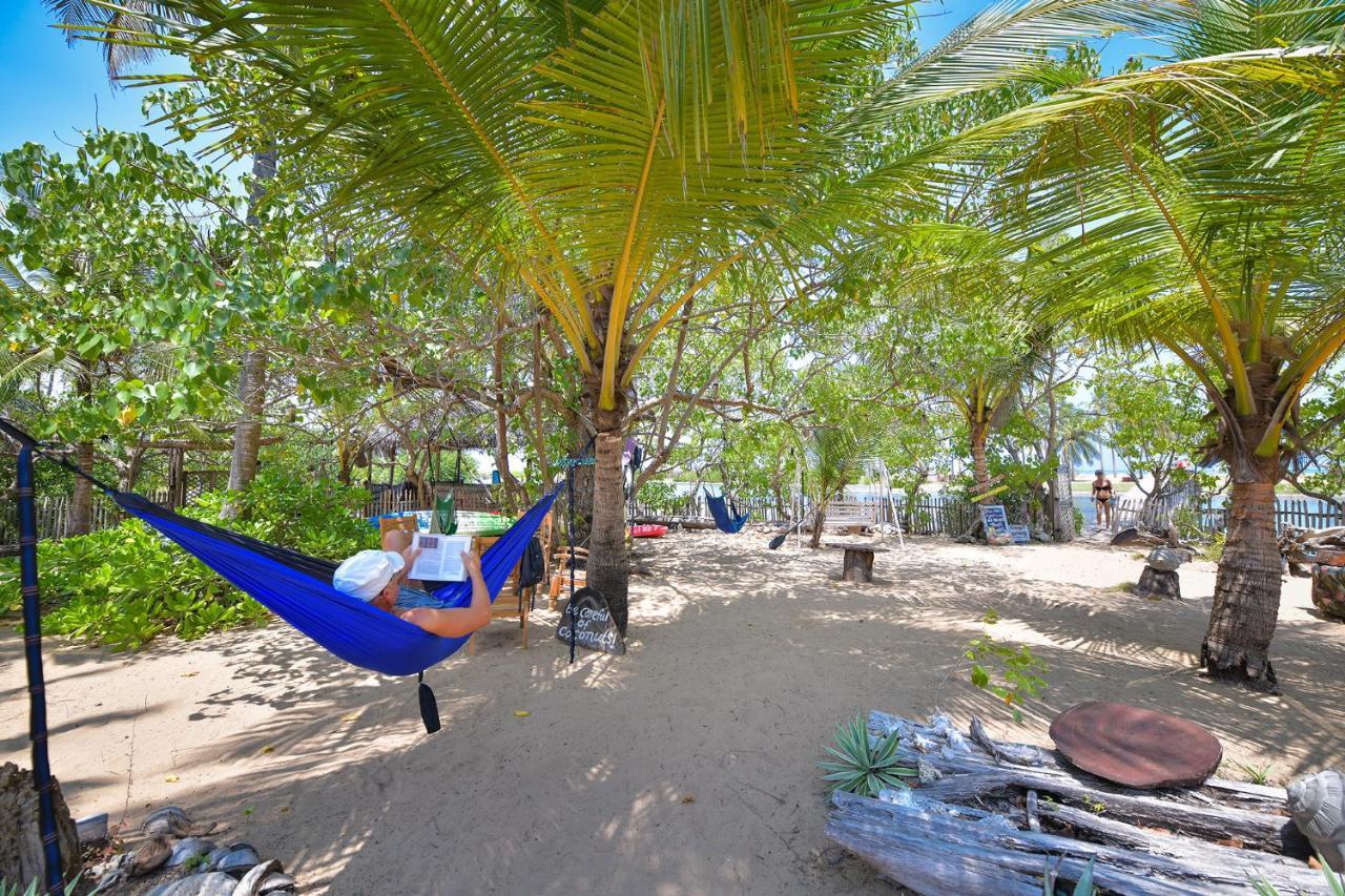 Kitesurfing Lanka Hotell Kalpitiya Eksteriør bilde